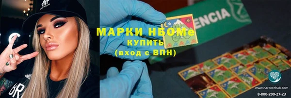 прущий лед Алзамай