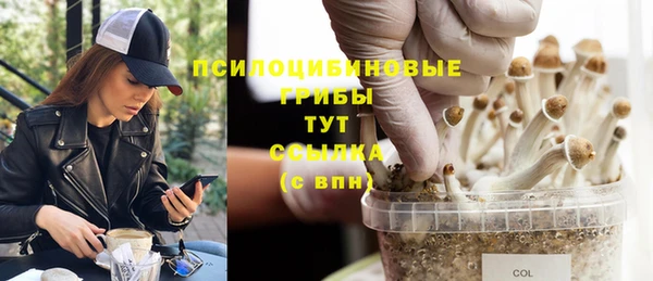 прущий лед Алзамай